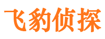 三江市私家侦探